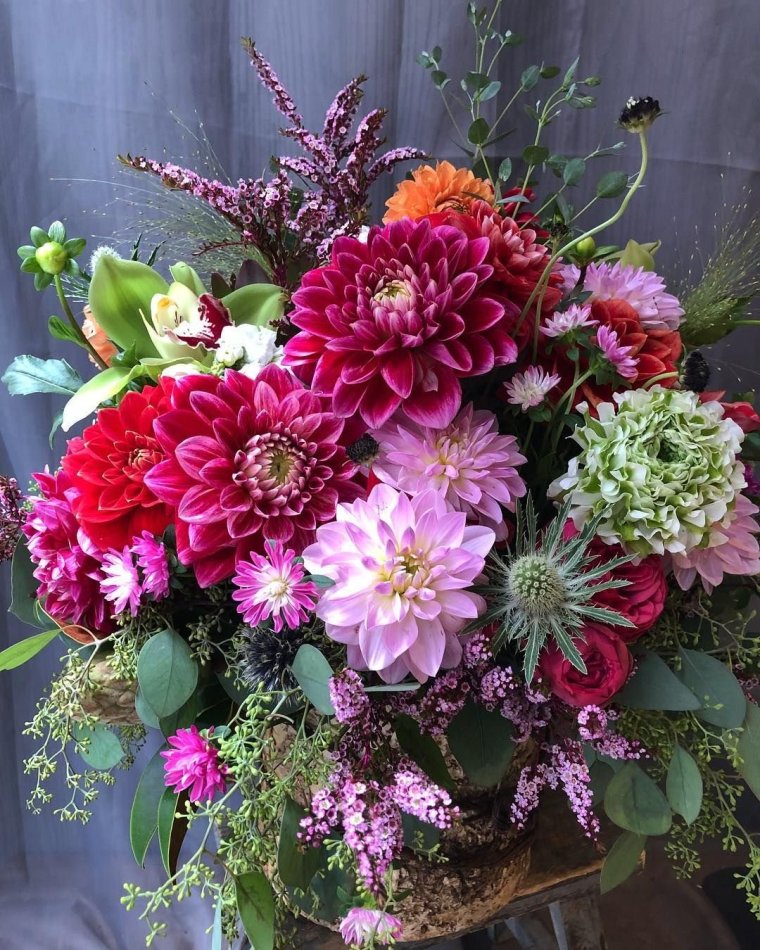 Астра Букетная