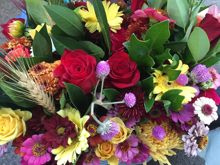 Цветы цинии букет