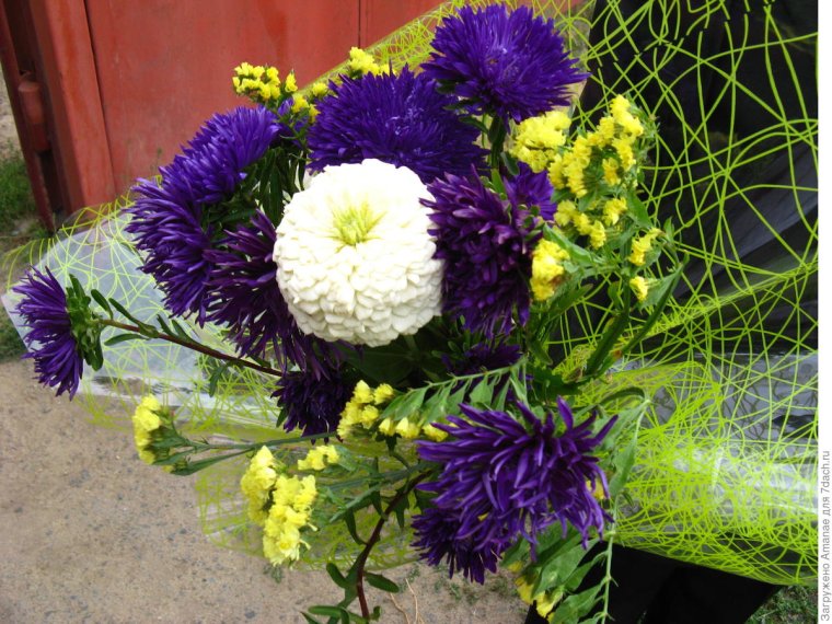 Букет садовых цветов