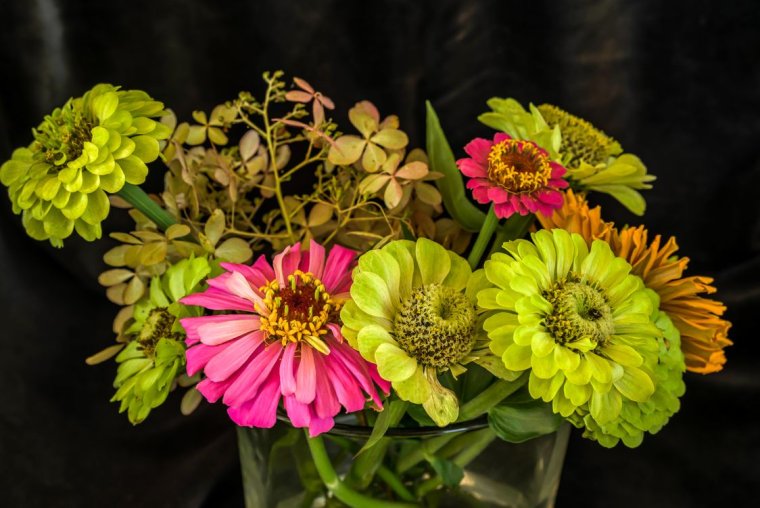 Букет георгины Дахлия гортензия