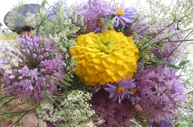 Хризантема индийская осенний букет
