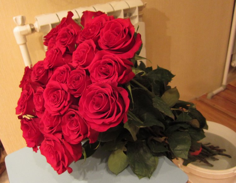 Цветы букет Любительское