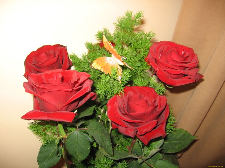 Букет цветов в квартире