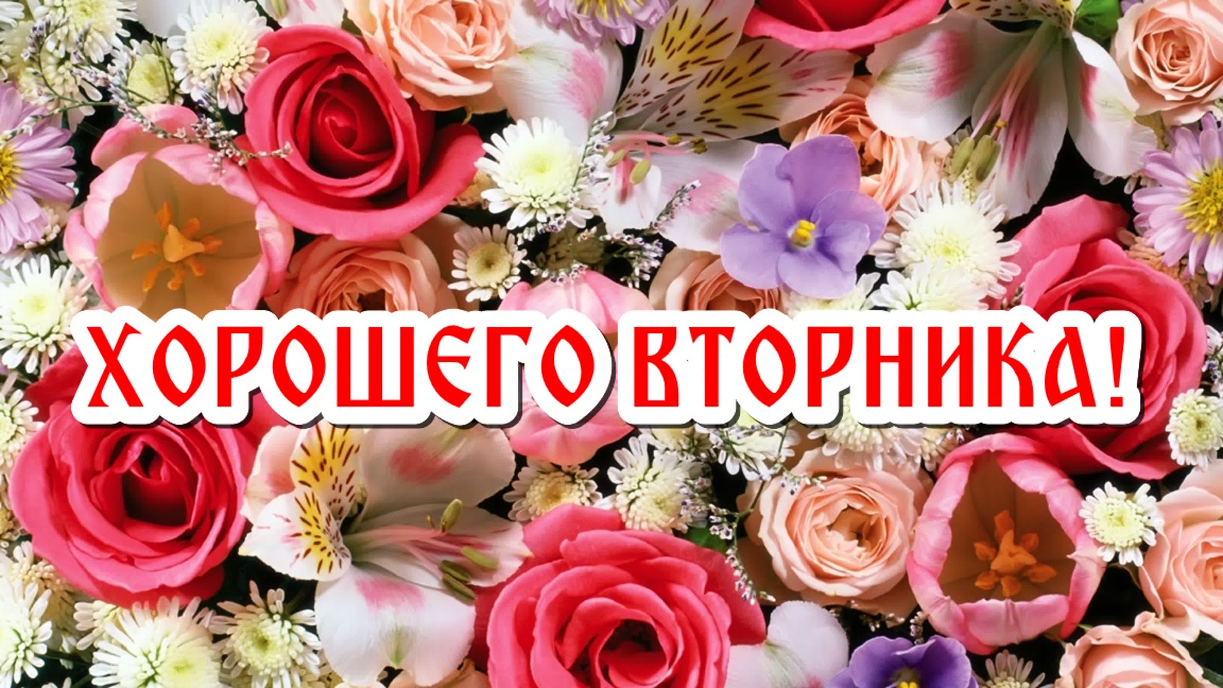 Хорошего Летнего Вторника Картинки