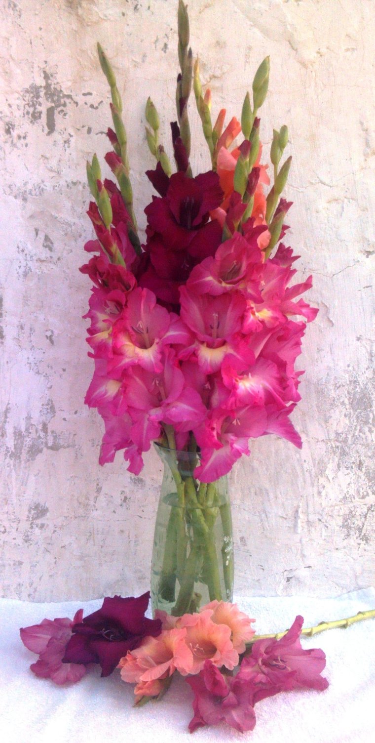 Гладиолусы на досках деревянных