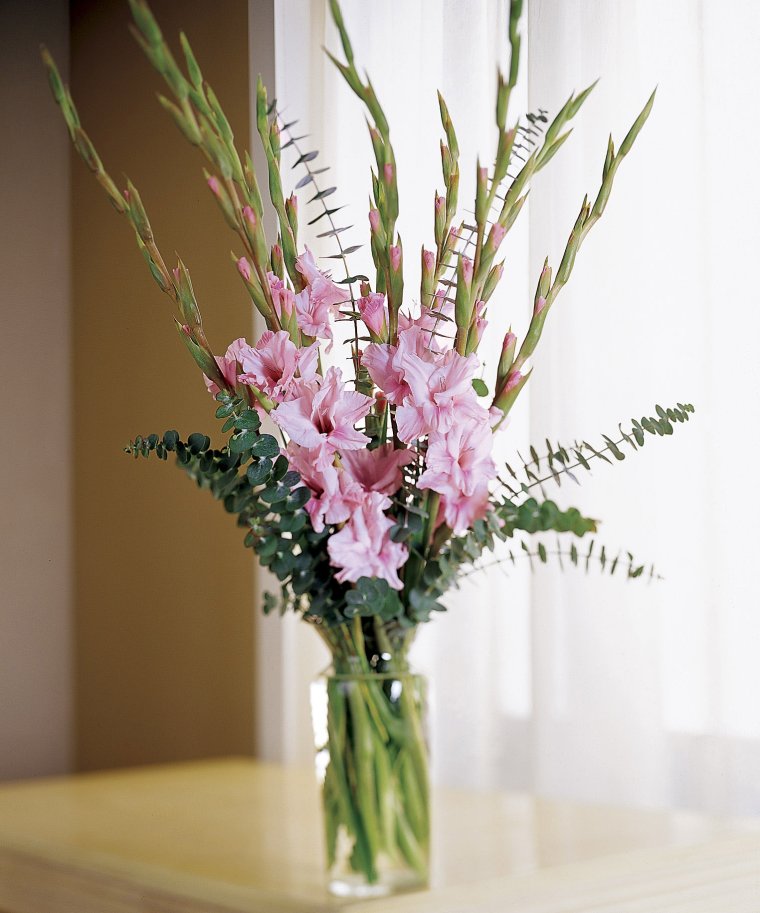 Гладиолус во флористике