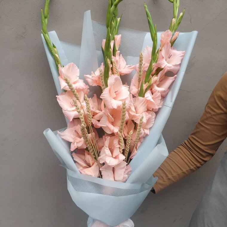 Вера Кавура ирисы пастель