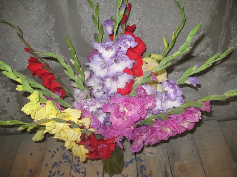 Цветы гладиолусы букет