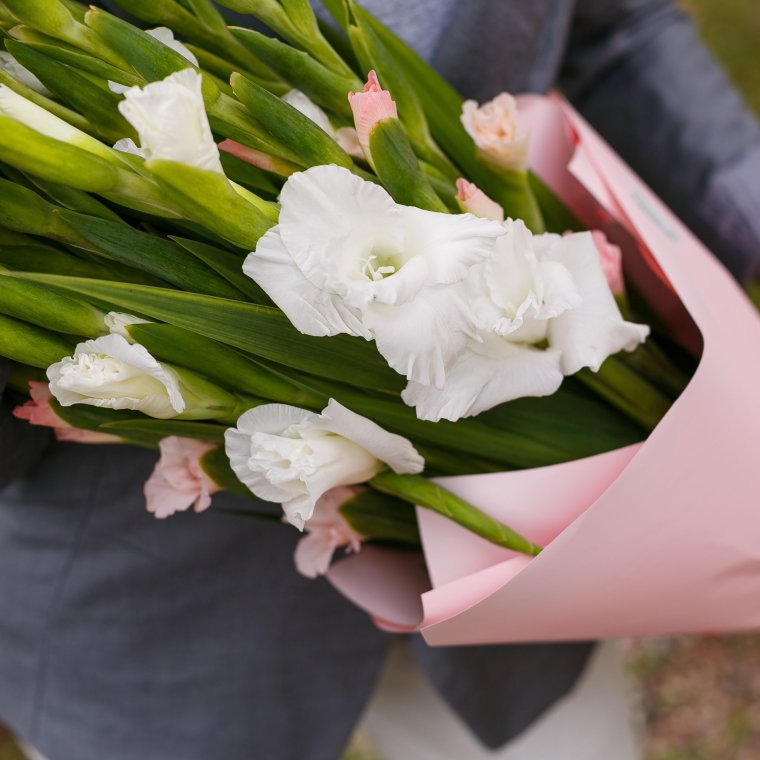 Гладиолус Donatella