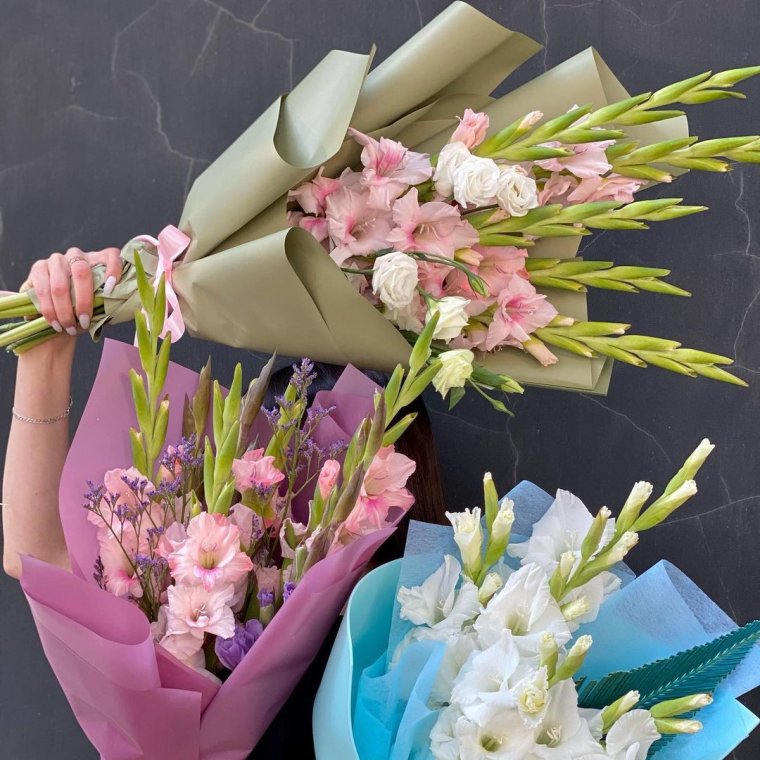 Гортензия Матиола Ирис