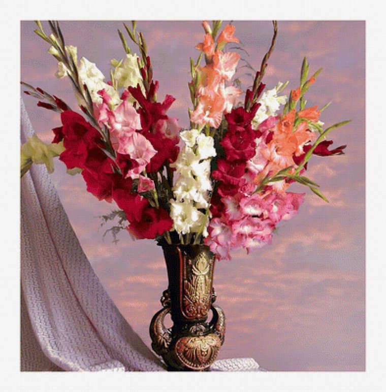 Букет гладиолусов