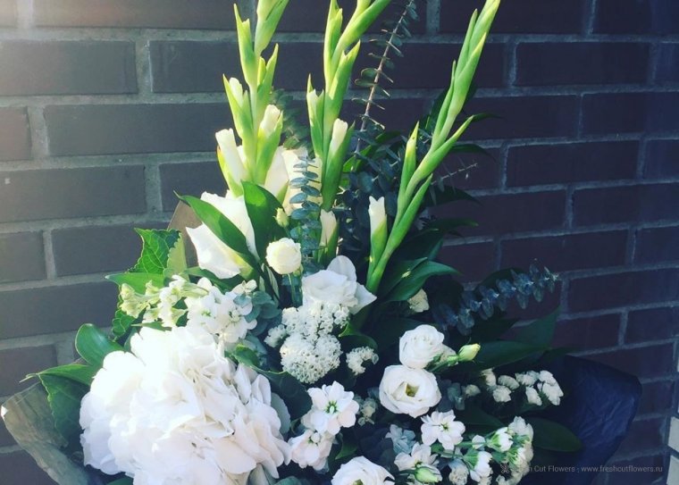 Гладиолусы на 1 сентября