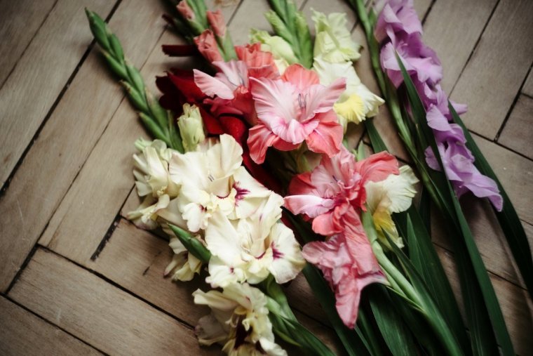 Цветы Краснодар