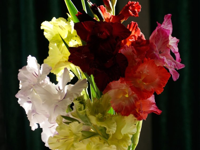 А ложки живые цветы для ВК