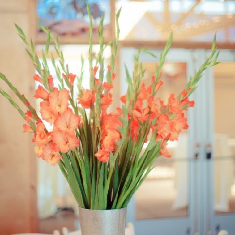 Модный букет из гладиолусов