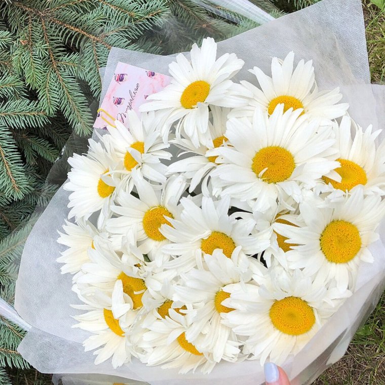 Букет ромашек