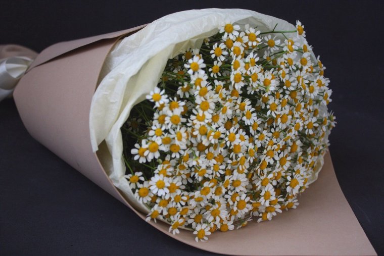 Большие букеты ромашек