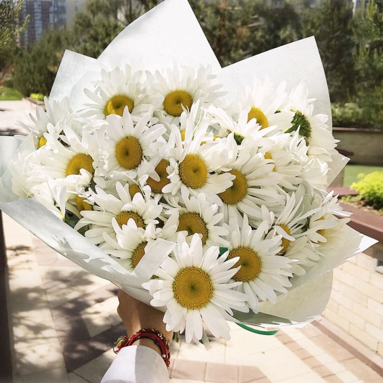 Шикарный букет ромашек