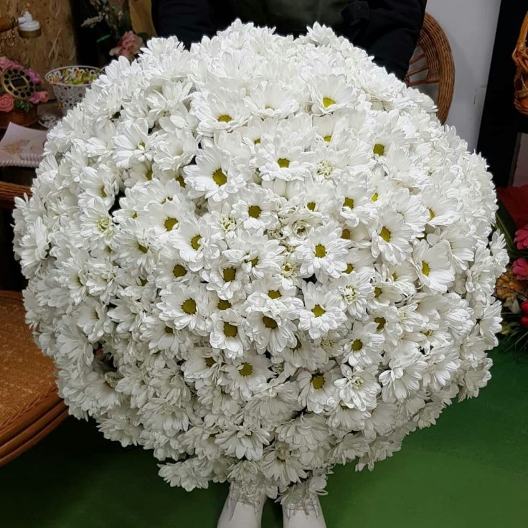 Хризантем Ромашковая с гипсофилой