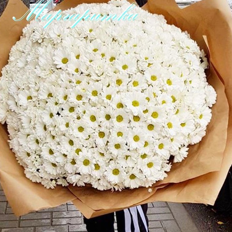 Букет полевых ромашек сердечком