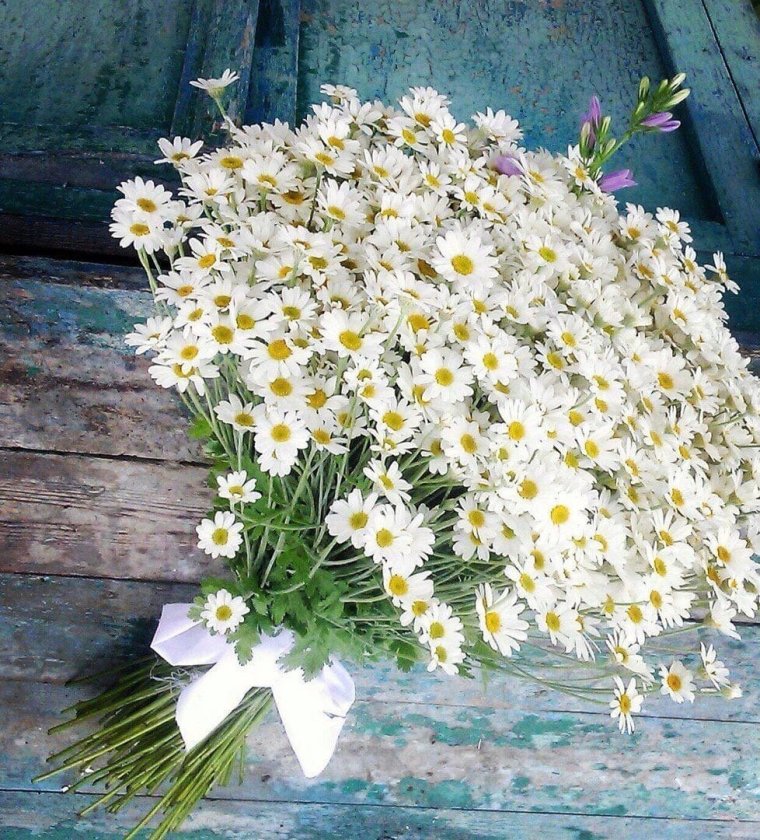 Шикарный букет ромашек