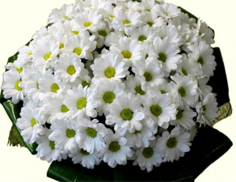 Букет ромашек