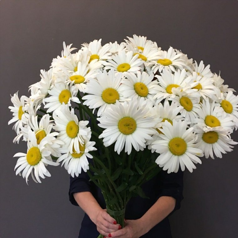 Шикарный букет ромашек