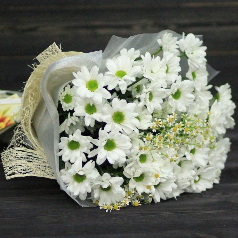Цветы хризантемы белые букет