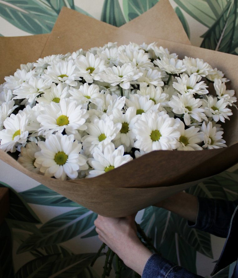 Крупные ромашки