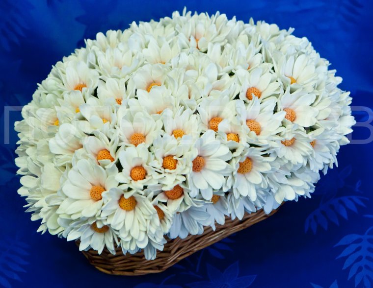 Букет белых ромашек