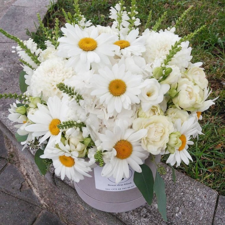 Ромашковый букет хризантем