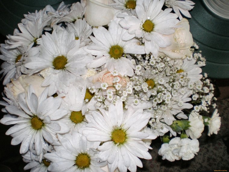 Хризантема кустовая +гипсофила+папоротник