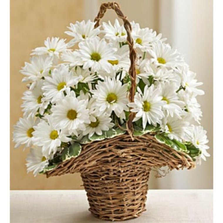 Букет из ромашек