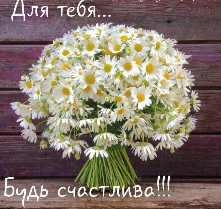 Красивый букет из ромашек