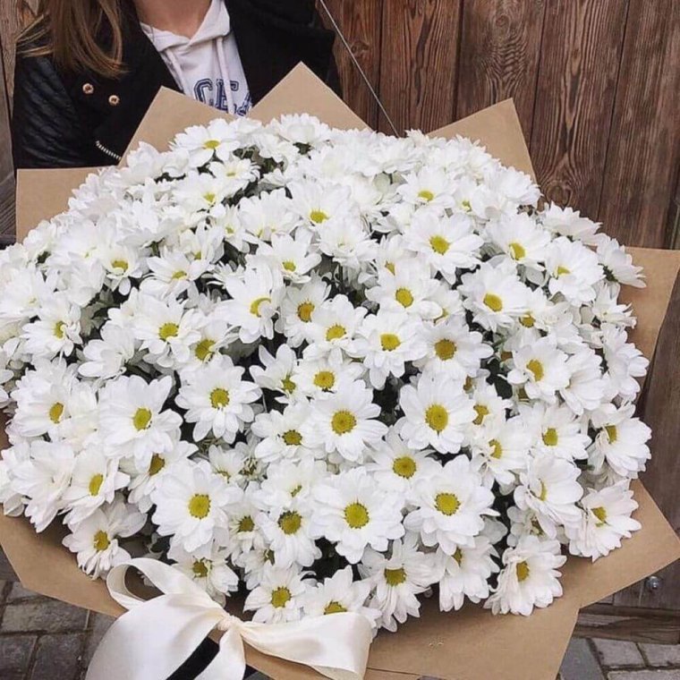 Огромная Ромашка