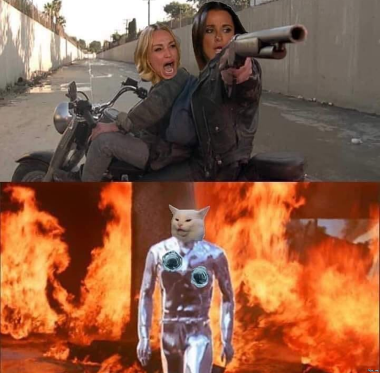 Мемы из Терминатора