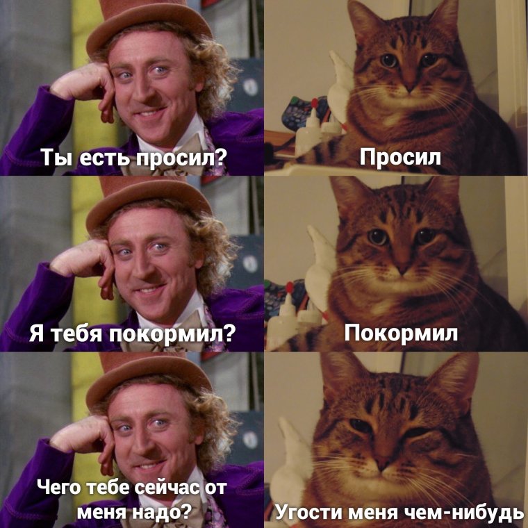 Кот Мем