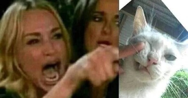 Женщина кричащая на кота