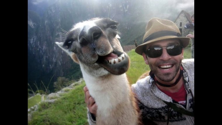 Очень смешное селфи