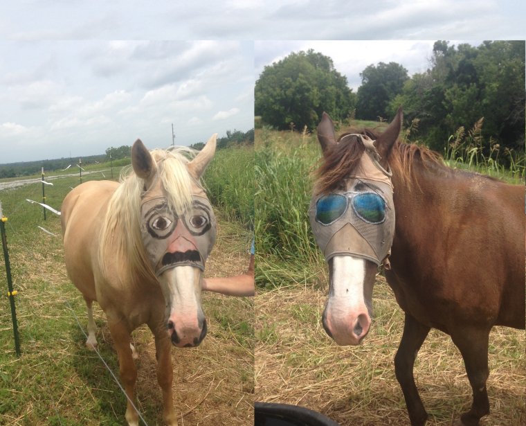 Самые Угарные приколы