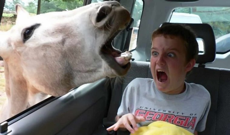 Ржачные приколы