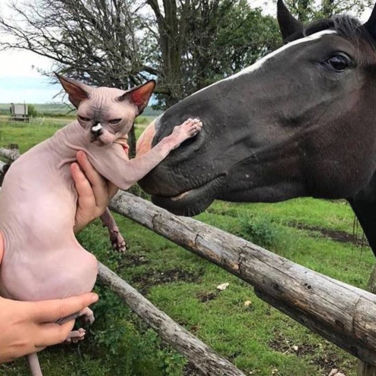 Приколы оборжаться