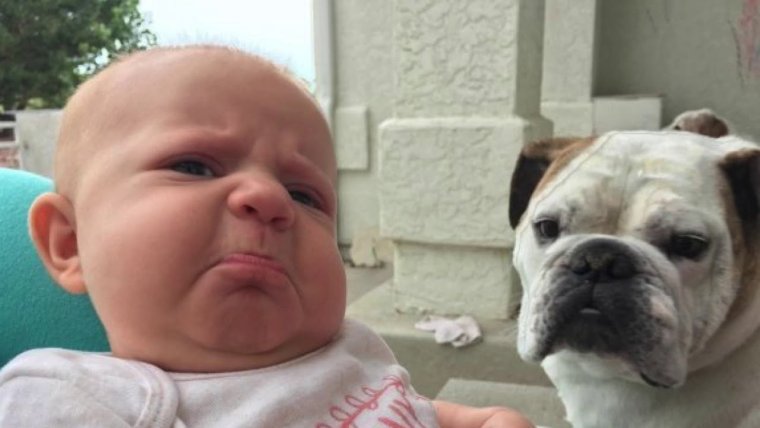 Очень смешные приколы