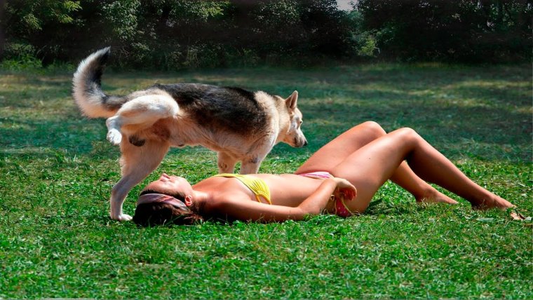 Приколы смеяться до слез