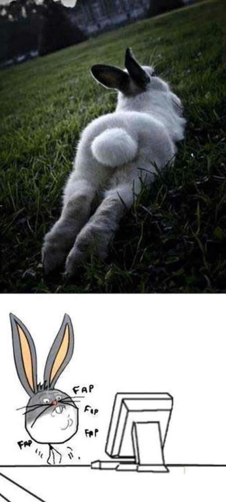 Лицо кролика