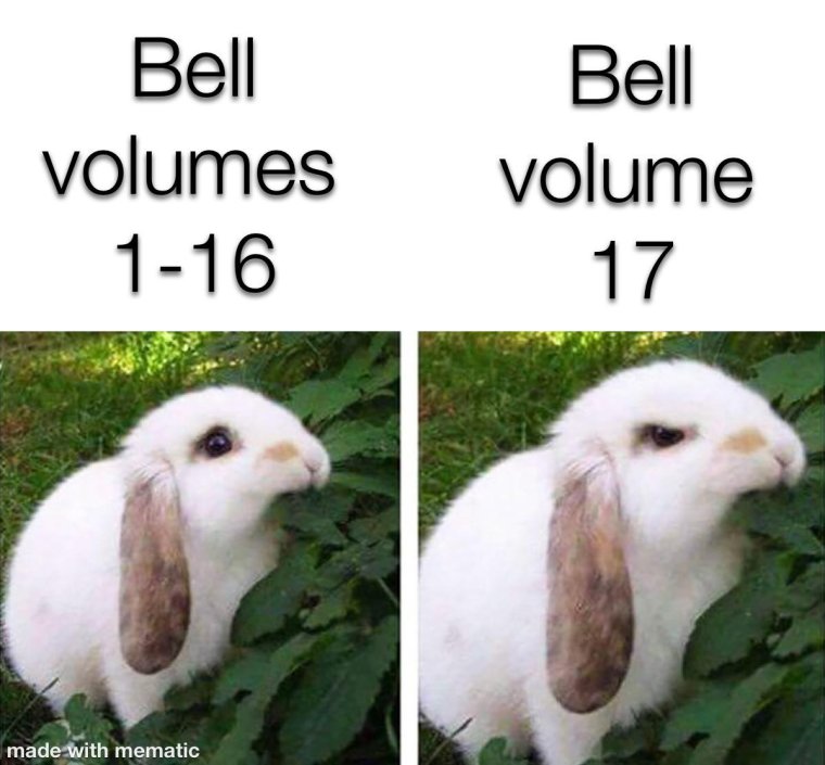 Мемы про кроликов