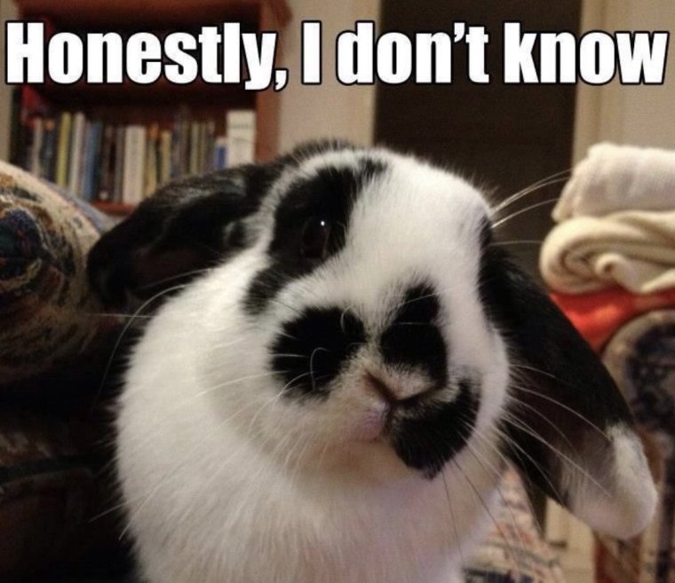 Кролик с венком на голове