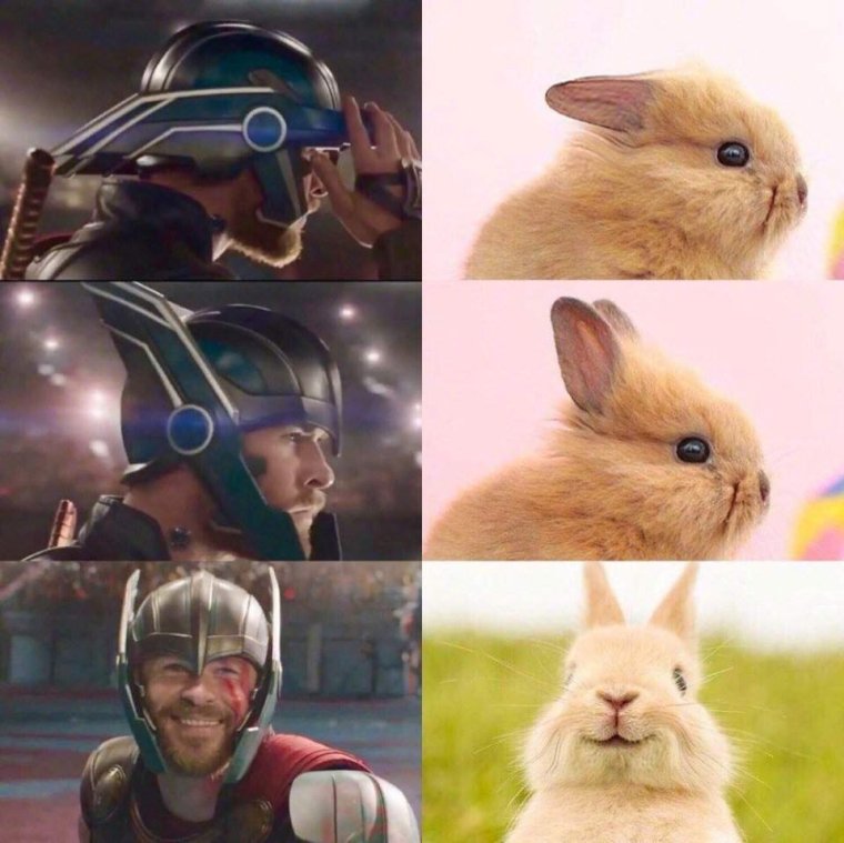 Смешные мемы тор