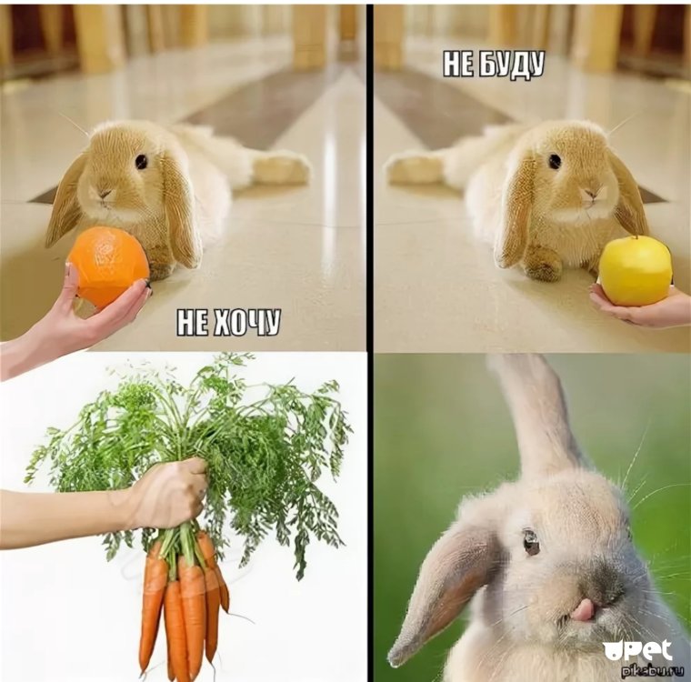 Морковь Мем