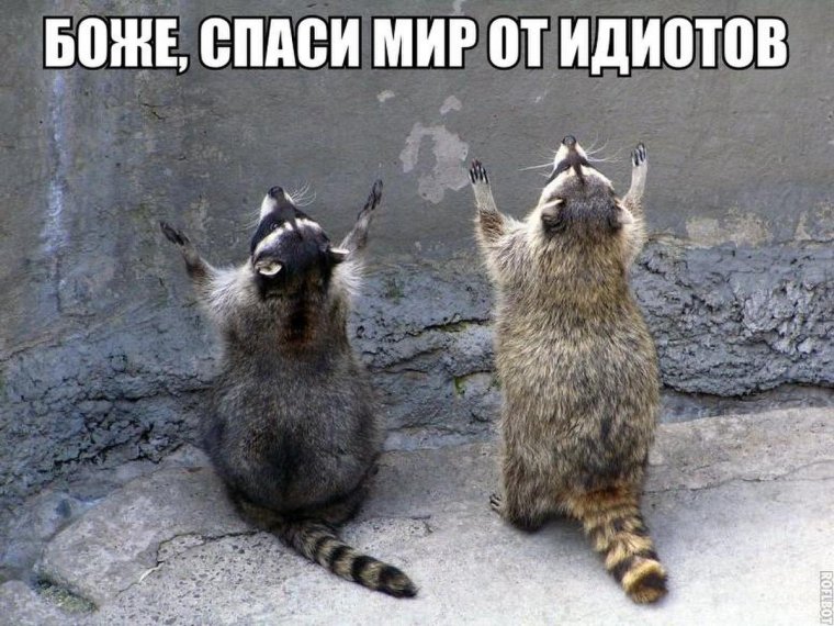 Господи избавь мир от идиотов